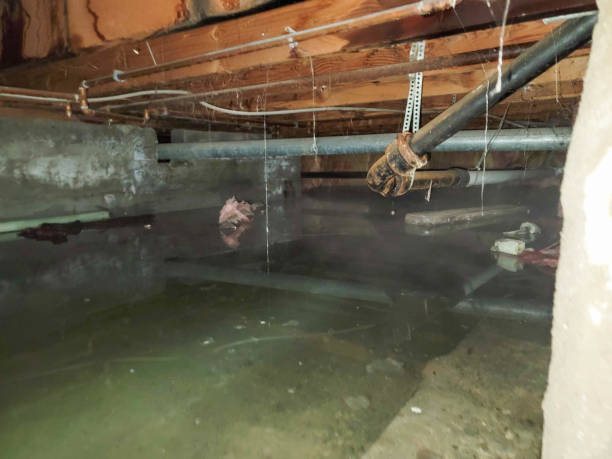 Best Emergency water damage restoration  in Salinas, CA