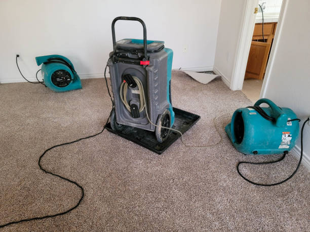 Best Flood restoration services  in Salinas, CA