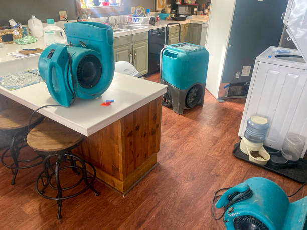 Best Ceiling water damage repair  in Salinas, CA