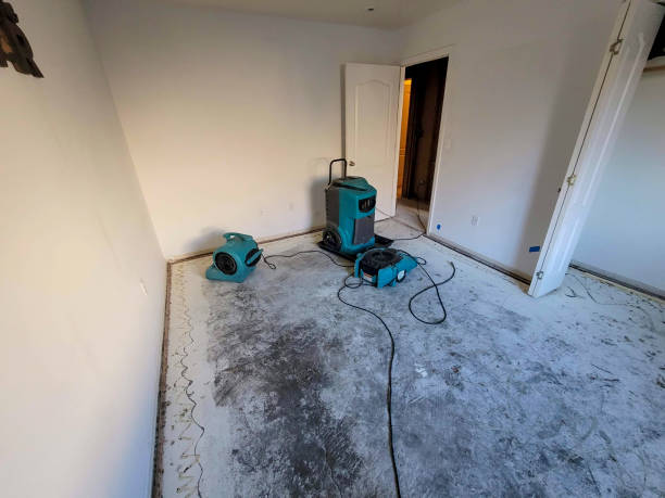 Best Residential water damage restoration  in Salinas, CA