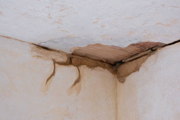 Best Water damage restoration near me  in Salinas, CA
