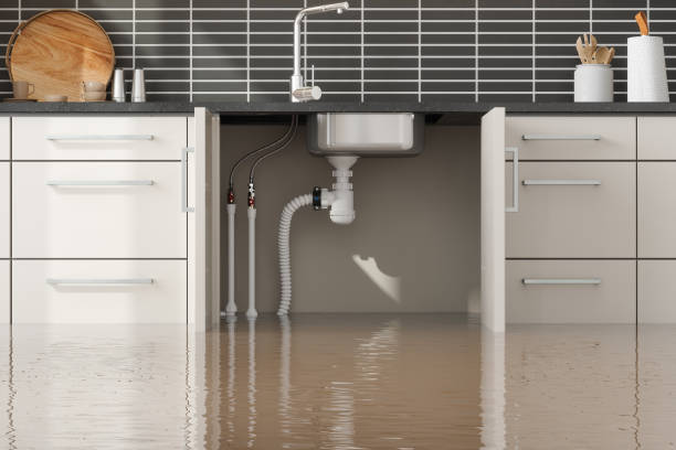 Best Flood restoration services  in Salinas, CA