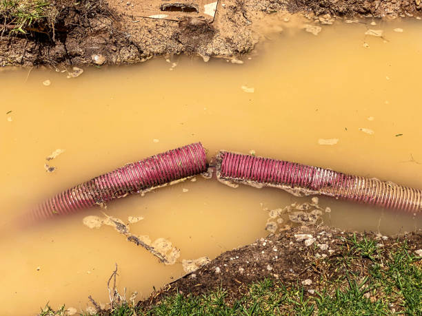  Salinas, CA Water damage restoration Pros